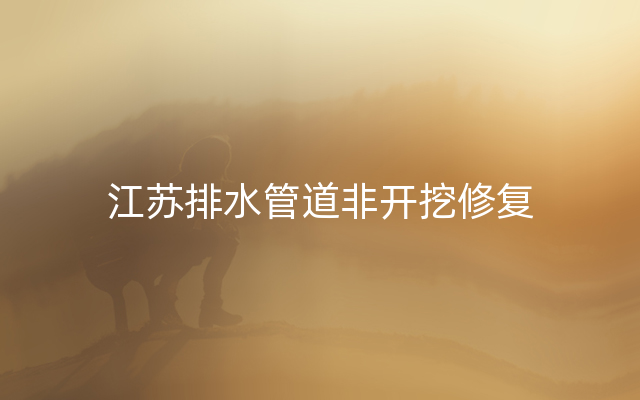 江蘇排水管道非開挖修復